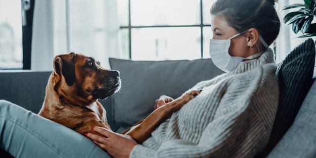 Mit Hund in Corona-Quarantäne: 5 Tipps für den Notfall