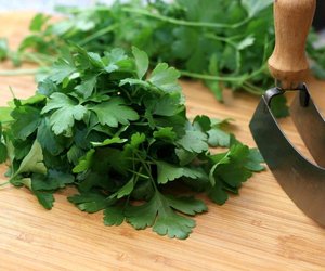 Ist Petersilie giftig? Hier lauert die Gefahr