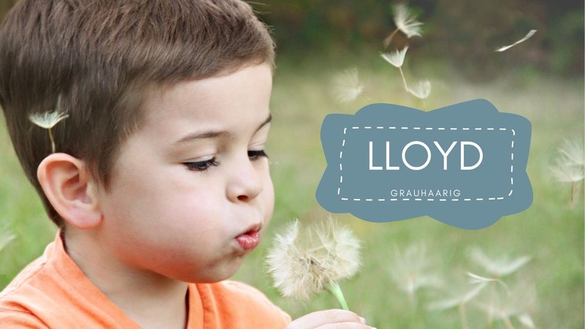 walisische Namen Lloyd