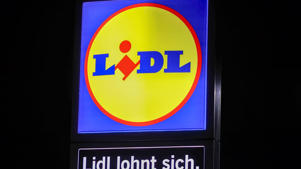 Dieser Hundemantel von Lidl hält deinen Vierbeiner trocken und sorgt für Komfort bei jedem Wetter.