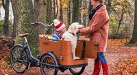 Lastenfahrrad für den Hund: Die 4 besten Modelle für Familien mit Fellnase