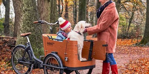 Lastenfahrrad für den Hund: Die 4 besten Modelle für Familien mit Fellnase