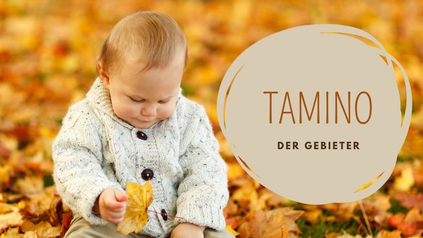 #15 Jungennamen mit 3 Silben: Tamino