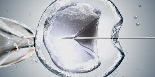 In-Vitro-Fertilisation: Die wichtigsten Fragen zur künstlichen Befruchtung