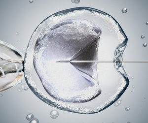 In-Vitro-Fertilisation: Die wichtigsten Fragen zur künstlichen Befruchtung