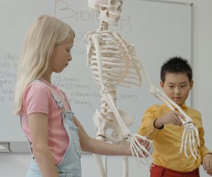 Nachgefragt: Wie viele Knochen hat ein Kind?