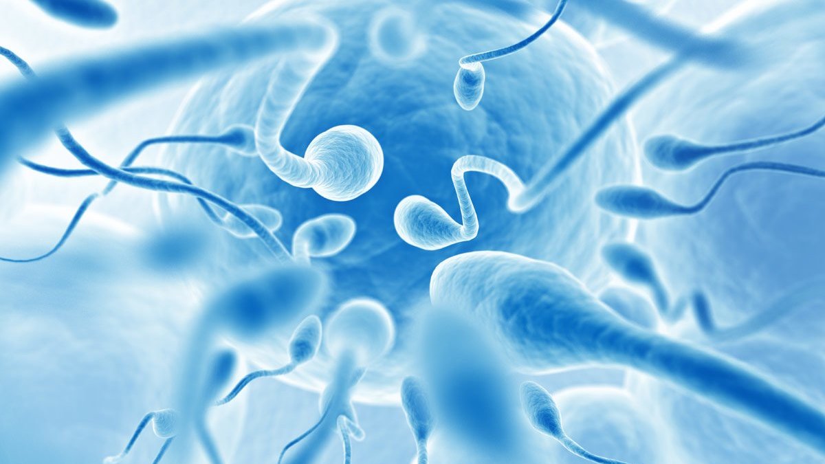Sperma-Allergie: Symptome und Behandlung