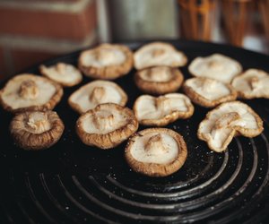 Shiitake-Pilze in der Schwangerschaft: Darf ich sie essen?