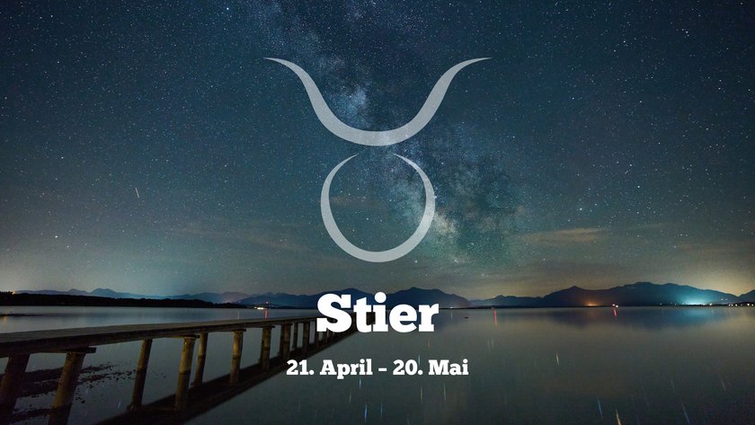 Stier