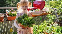 Wespenfrei auf dem Balkon: Diese 7 Pflanzen halten die Tiere fern