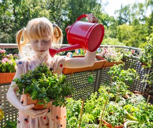 Wespenfrei auf dem Balkon: Diese 7 Pflanzen halten die Tiere fern