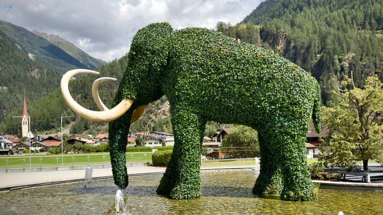 Ötztal mit Kindern: Am Thermeneingang des Aqua Dome begrüßt euch Mammut Manfred