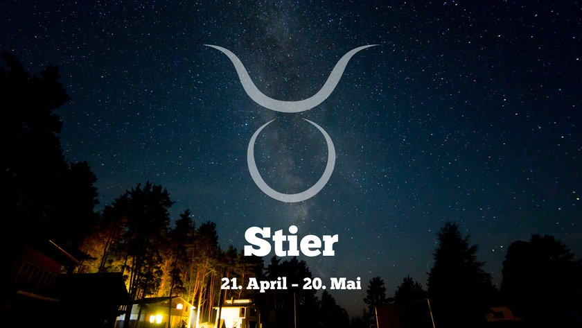 Stier