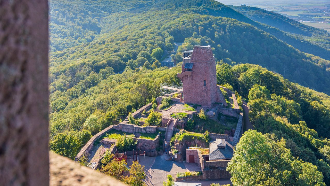 Die Reste der Reichsburg von oben