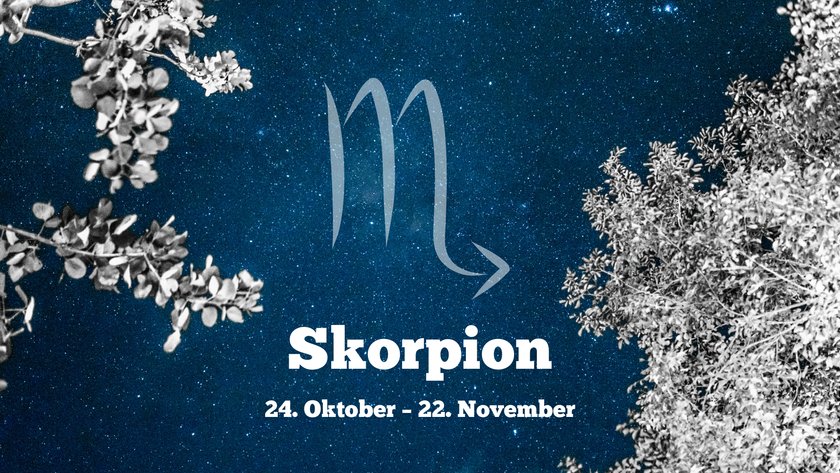 Skorpion