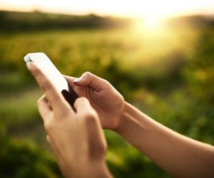 Digitaler Umweltschutz: So viel CO2 spart ihr durchs Löschen von E-Mails