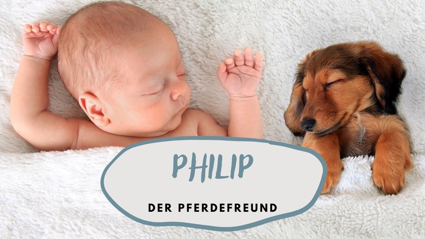 #7 Vornamen nach Tieren: Philip