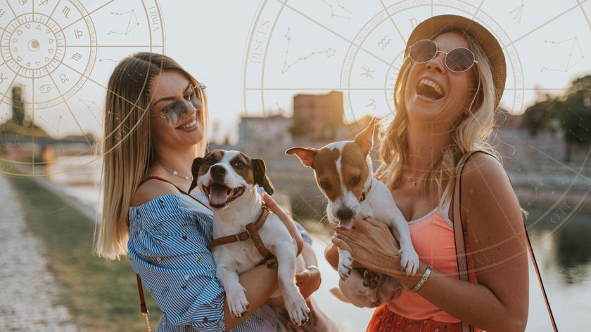 Zwei Frauen mit Jack Russell Terriern auf den Armen