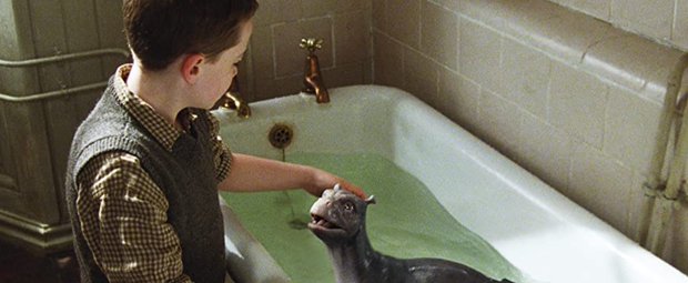 Die 20 schönsten Kinderfilme mit männlichen Hauptdarstellern