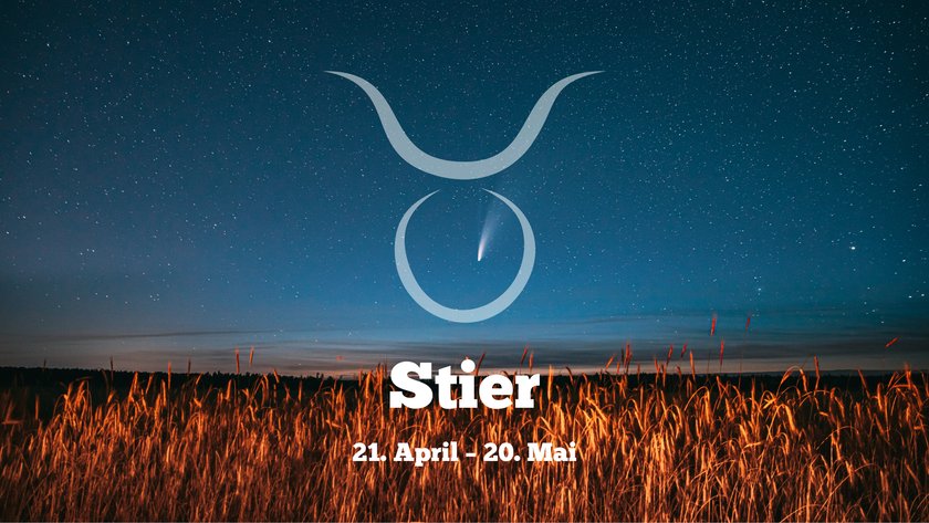 Stier