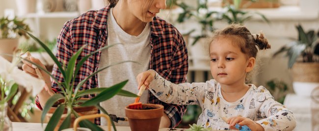 Finger weg! Diese 23 Zimmerpflanzen können für Kinder gefährlich werden