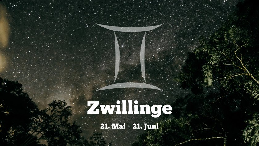 Zwillinge