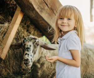 Mit niedlichen Bauernhof-Motiven: Bei Ernsting's family gibt eine tolle Renforcé-Bettwäsche fürs Kinderzimmer