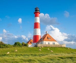 Plattdeutsch für Anfänger: 15 witzige Ausdrücke, die dich zum Nordlicht machen