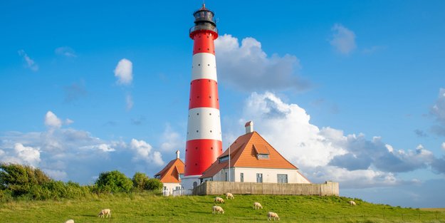 Sprich wie ein echtes Nordlicht: Diese 15 plattdeutschen Begriffe musst du kennen
