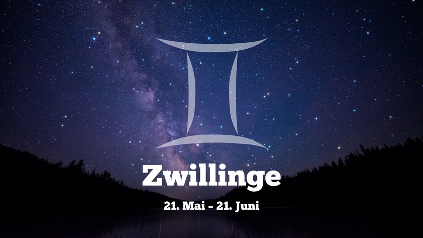 Zwillinge