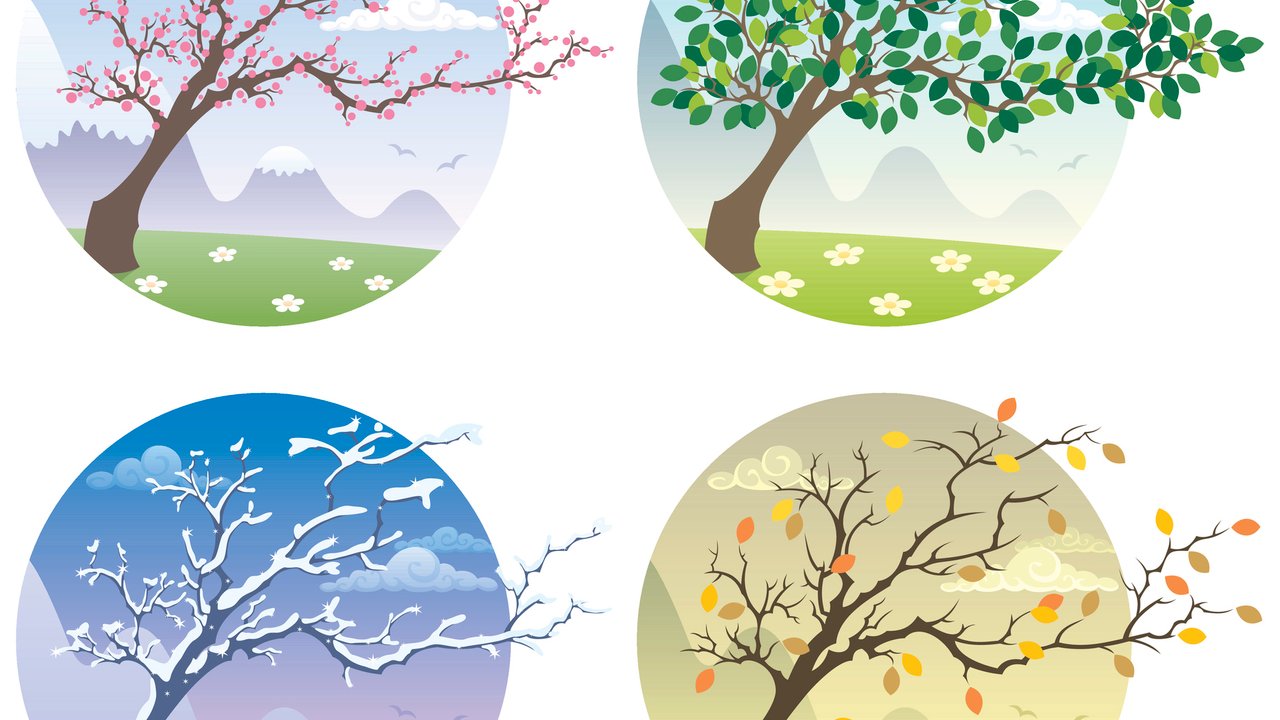 Cartoon illustration of a tree during the four seasons.