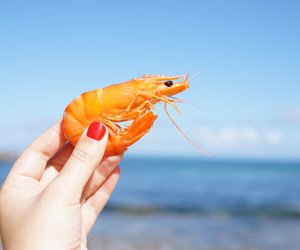 Was ist der Unterschied zwischen Shrimps und Garnelen?