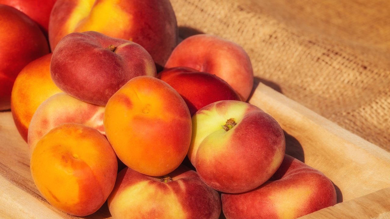 Aprikosen und Pfirsiche sind lecker und ein gesunder Snack für unterwegs.