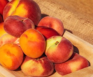 Aprikose oder Pfirsich? Die Unterschiede für Kinder erklärt