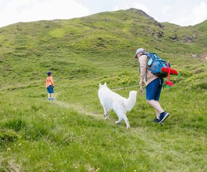 Wanderausflug mit Hund: Diese Gadgets dürfen bei eurem Abenteuer nicht fehlen