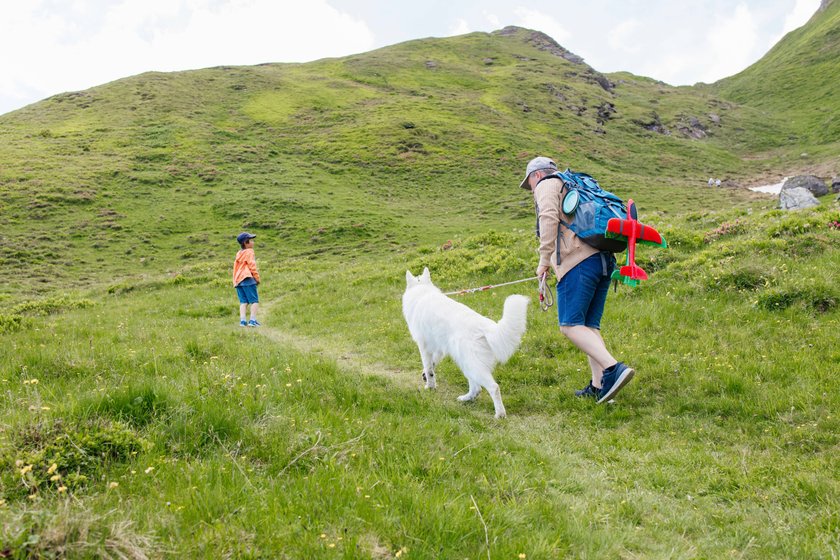 Hund im Freien