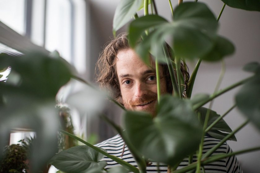 Millennials nerven Boomer, weil sie sich lieber Monstera-Pflanzen statt Kinder zulegen
