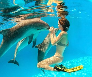 Wo leben Delfine? Wir zeigen dir ihren Lebensraum