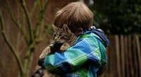 Warum schnurren Katzen? So machen sie das Geräusch