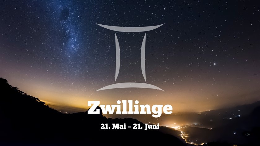 Zwillinge