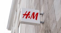 Dieser Stoffhund von H&M ist zum Kuscheln gedacht