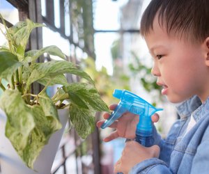 Orale Phase: So schützt du dein Kind vor giftigen Zimmerpflanzen