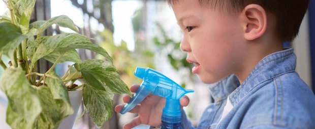 Orale Phase: So schützt du dein Kind vor giftigen Zimmerpflanzen