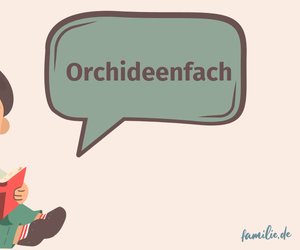 Wort des Tages "Orchideenfach": Was es mit Blumen zu tun hat und woher der Begriff wirklich stammt