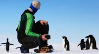 Wo leben Pinguine? Interessantes Wissen für Kinder erklärt