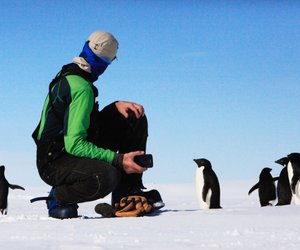 Wo leben Pinguine? Interessantes Wissen für Kinder erklärt