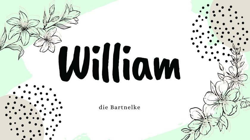 Namen mit der Bedeutung „Blume”: William