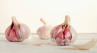 Haltbarkeit von Knoblauch: Wie lange ist er haltbar?