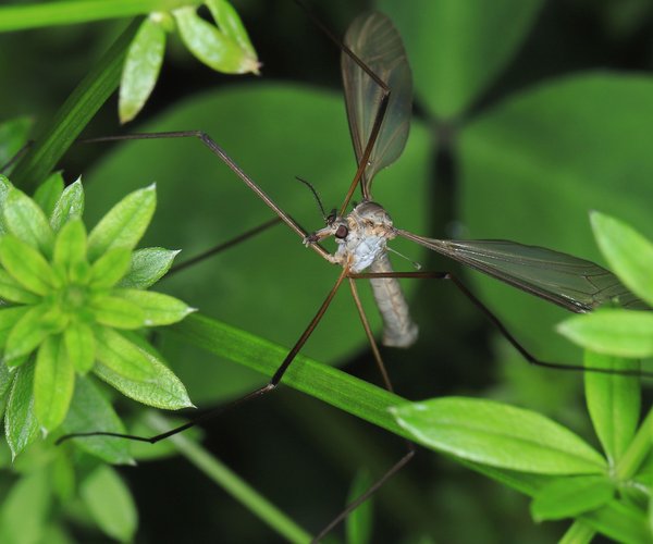 Stechen In Der Scheide Aber Nicht Schwanger Stechen in der Scheide: 7 mögliche Ursachen