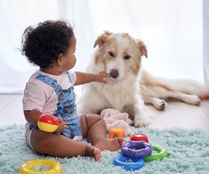 Baby und Hund? Mit diesen Tipps klappt das Zusammenleben von Hund und Kind
